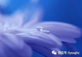 倾心